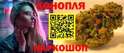 гашик Дубна