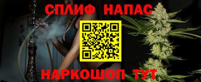 гашик Дубна