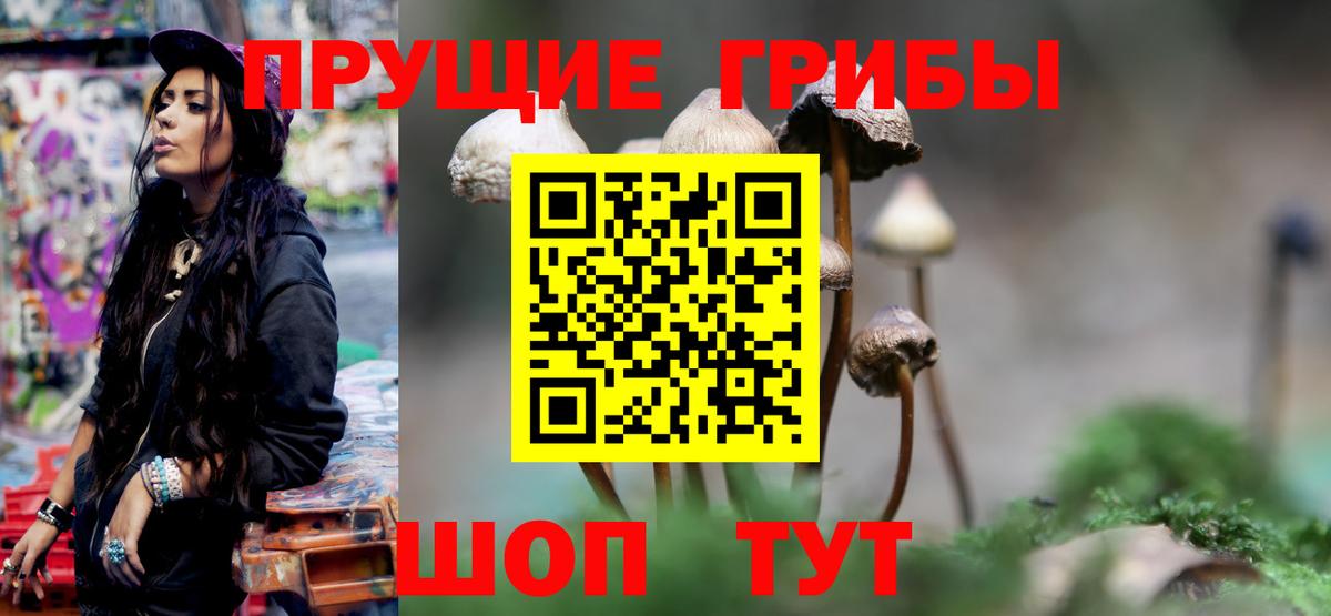 Назарово  Псилоцибиновые грибы GOLDEN TEACHER  Вход с VPN  Псилоцибиновые грибы Cubensis 